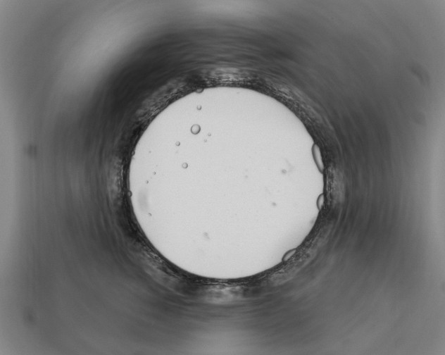 X0000111930760200909071238