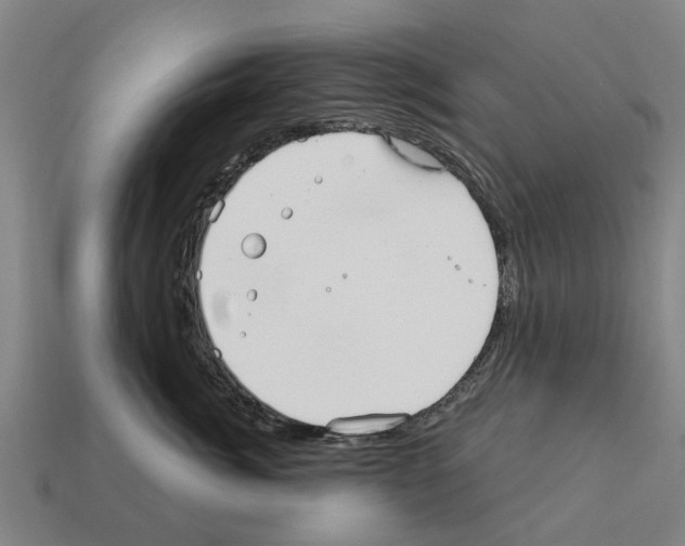 X0000111930764200909071238