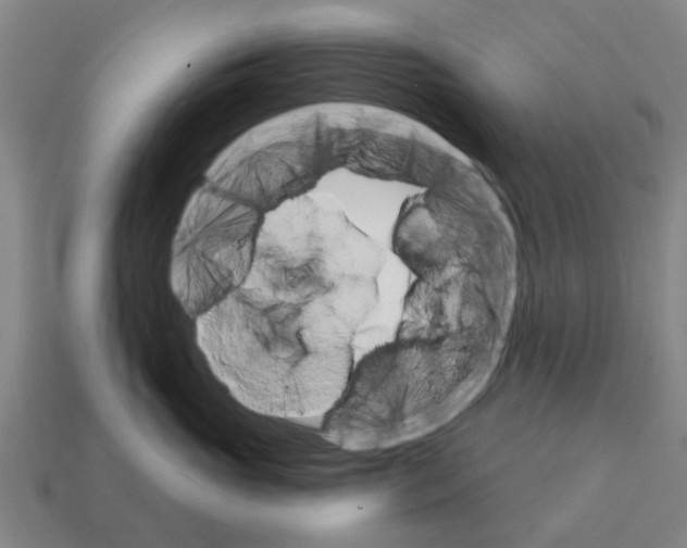 X0000111930765200909071238