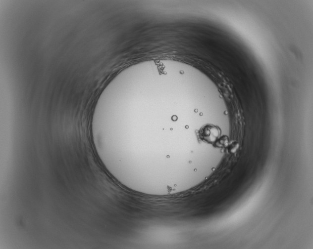 X0000111930767200909071238