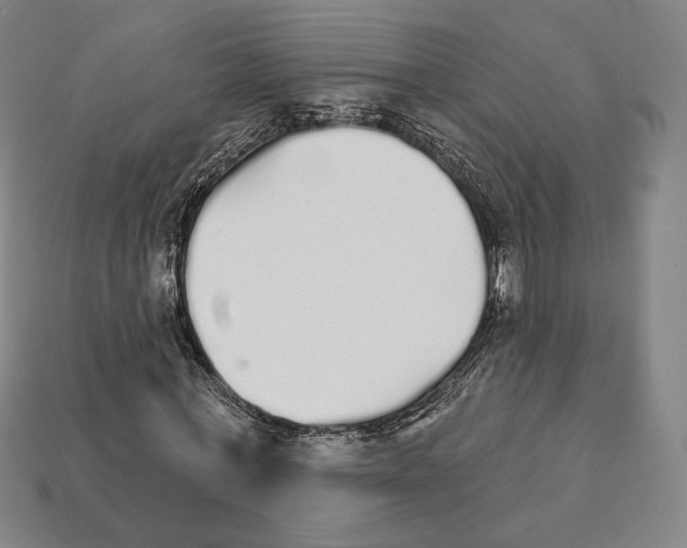 X0000111930771200909071238