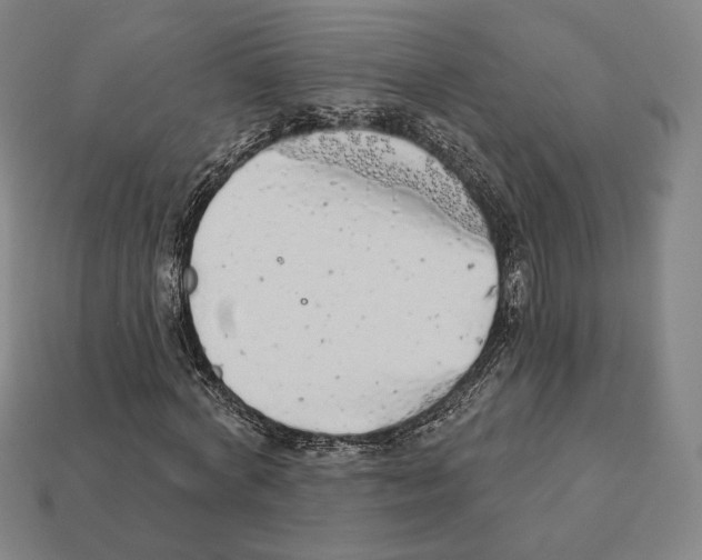 X0000111930772200909071237