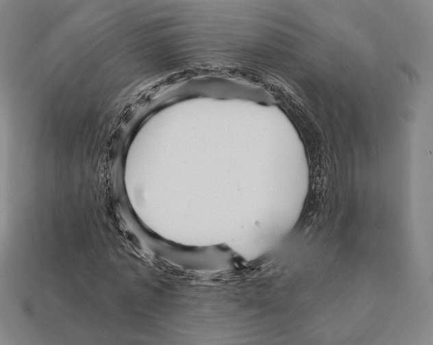 X0000111930773200909071237