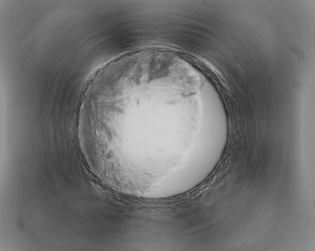 X0000111930775200909071237