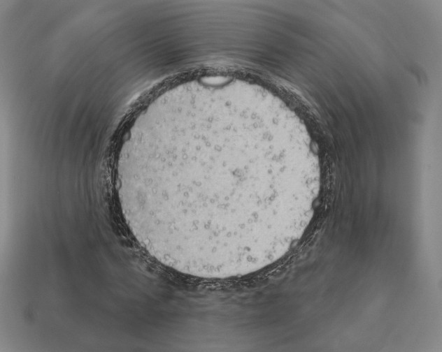 X0000111930776200909071237