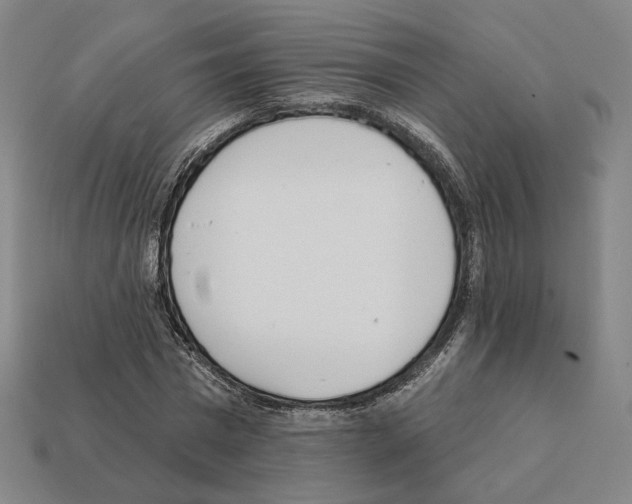 X0000111930777200909071237