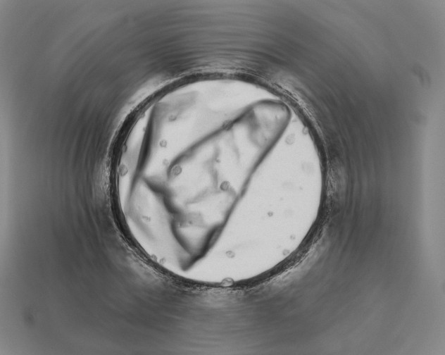 X0000111930779200909071237