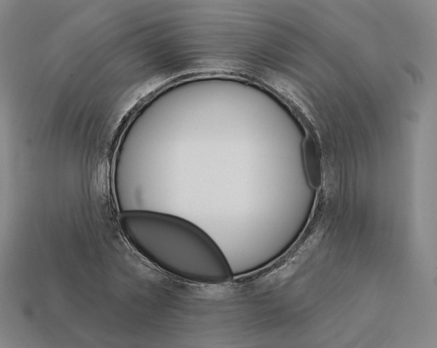 X0000111930781200909071237