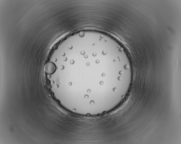 X0000111930782200909071237