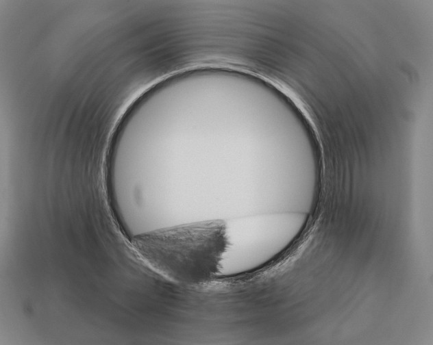 X0000111930783200909071237