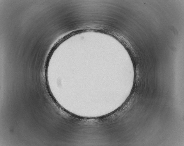 X0000111930784200909071237