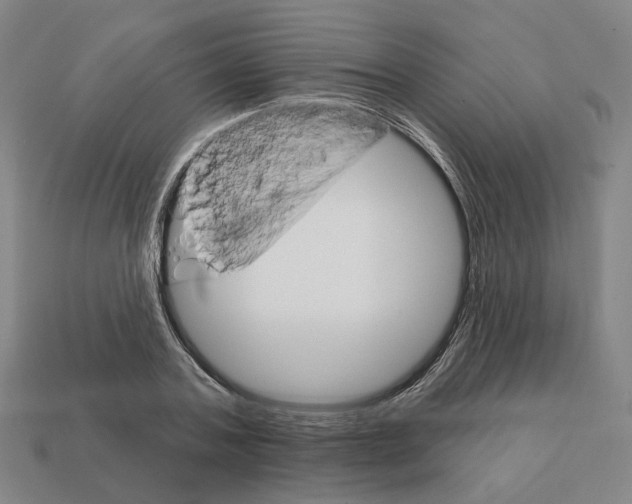 X0000111930787200909071237