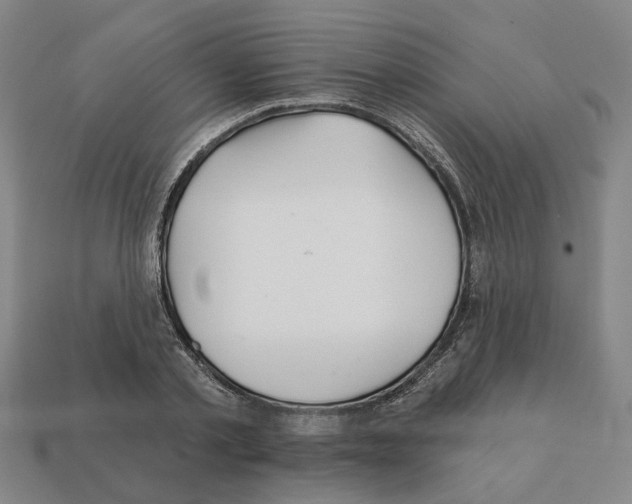 X0000111930789200909071237