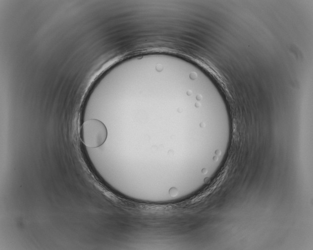 X0000111930790200909071237