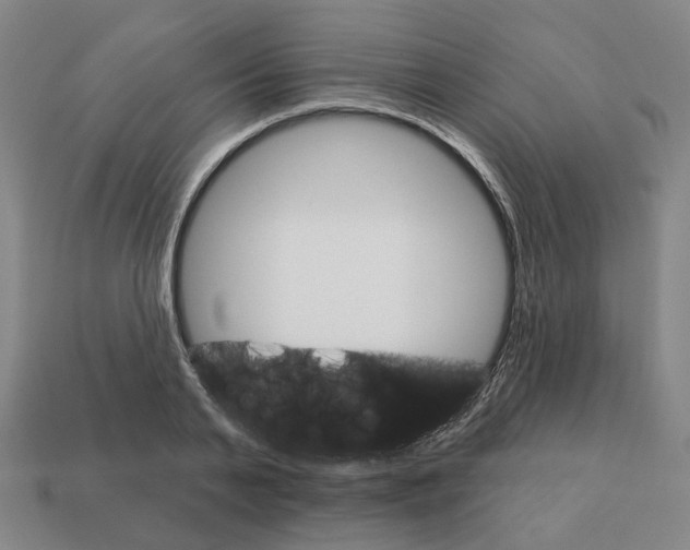 X0000111930791200909071237