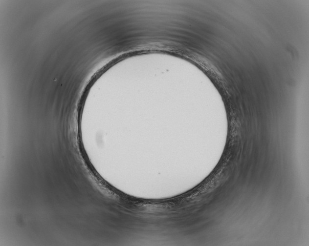 X0000111930792200909071237