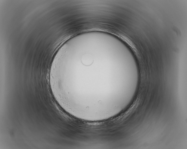 X0000111930793200909071237