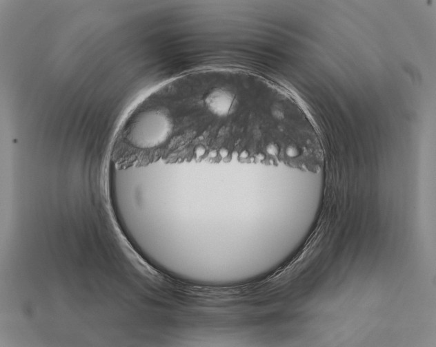 X0000111930795200909071237