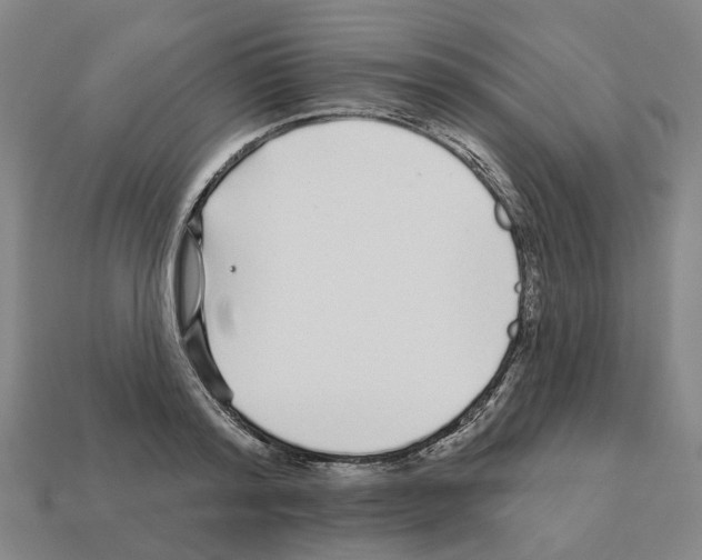 X0000111930796200909071237