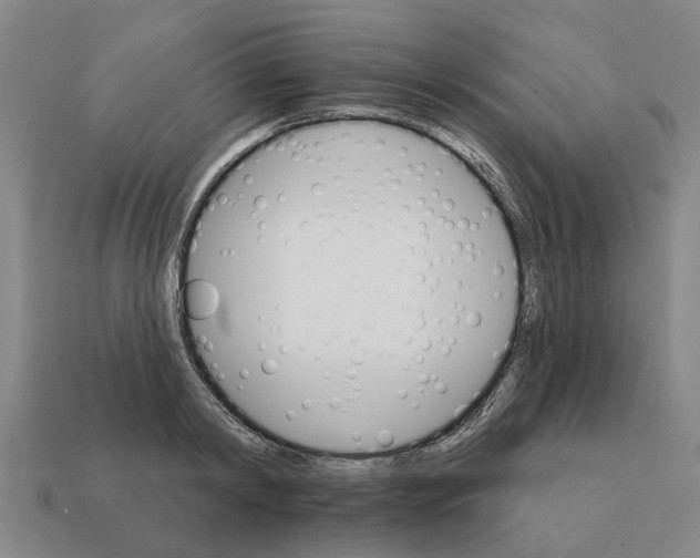 X0000111930798200909071237