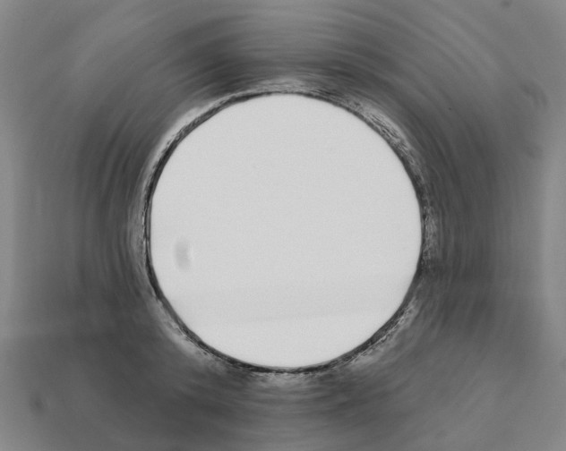 X0000111930800200909071237