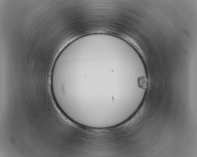 X0000111930802200909071237