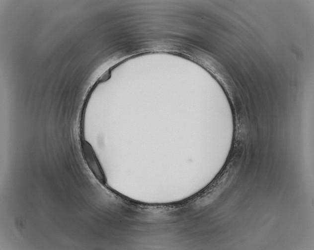 X0000111930803200909071237