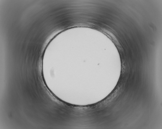 X0000111930804200909071237