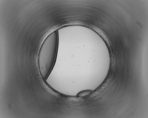 X0000111930805200909071237