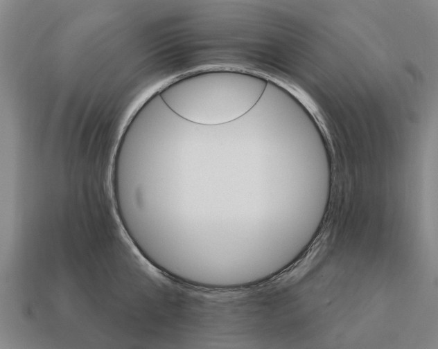 X0000111930807200909071237