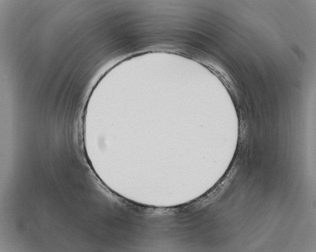 X0000111930808200909071237