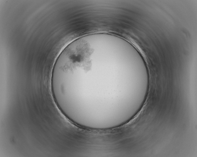 X0000111930810200909071237