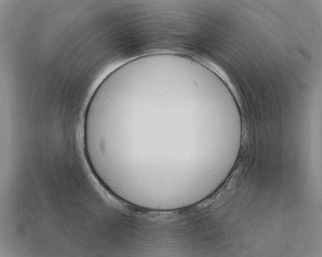 X0000111930811200909071237