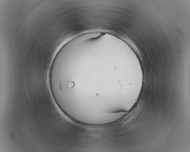 X0000111930813200909071237