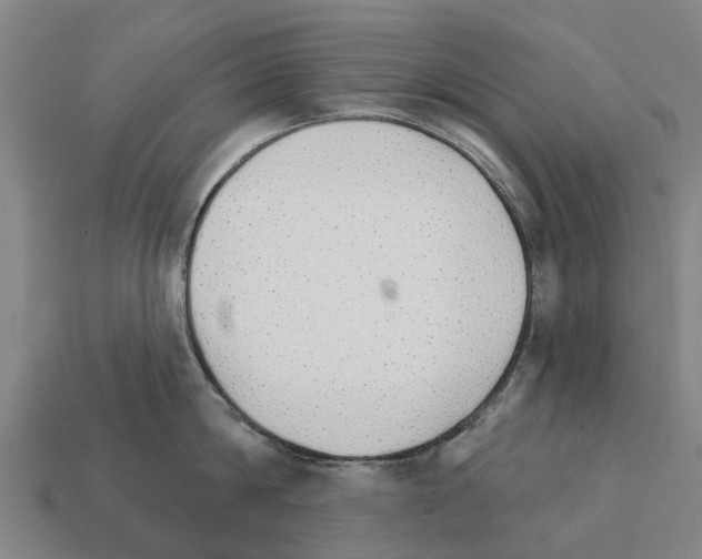 X0000111930814200909071237