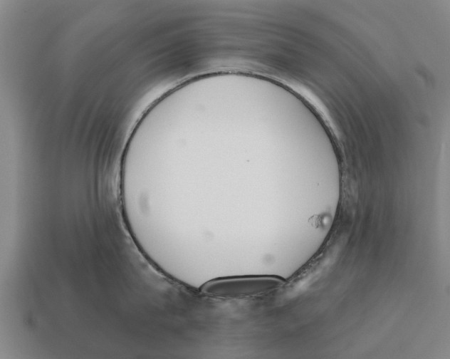 X0000111930815200909071237