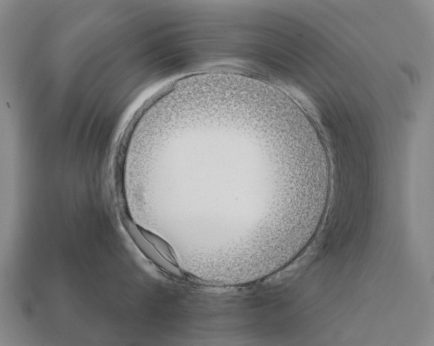 X0000111930816200909071237