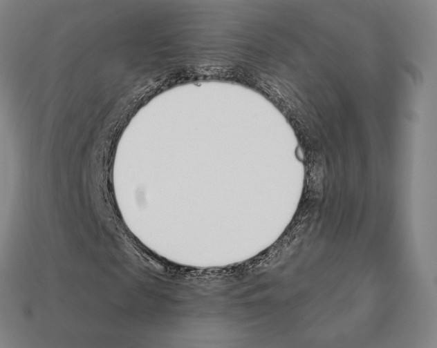 X0000111930817200909071236