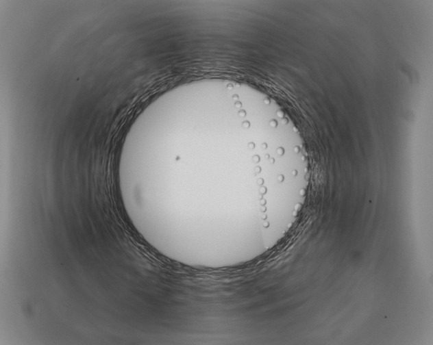 X0000111930818200909071236