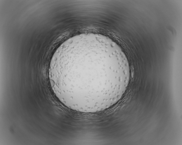 X0000111930819200909071236