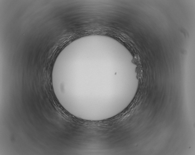 X0000111930820200909071236