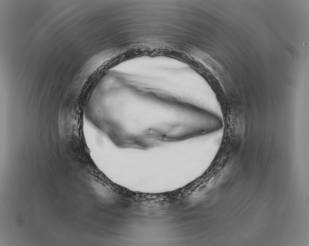 X0000111930823200909071236