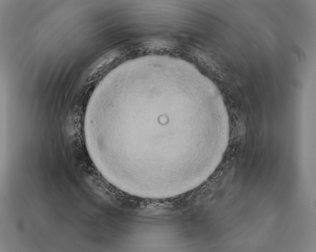 X0000111930824200909071236