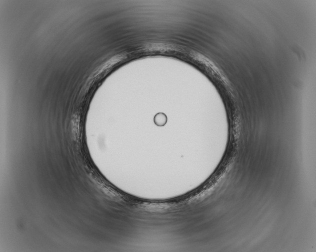 X0000111930825200909071236