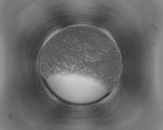 X0000111930827200909071236