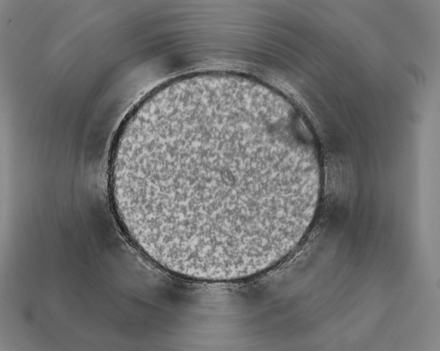 X0000111930828200909071236