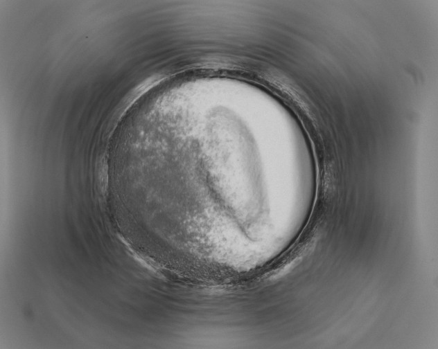 X0000111930829200909071236