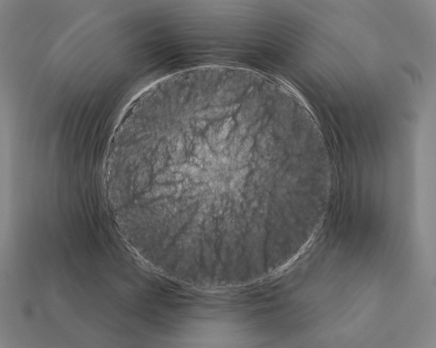 X0000111930831200909071236