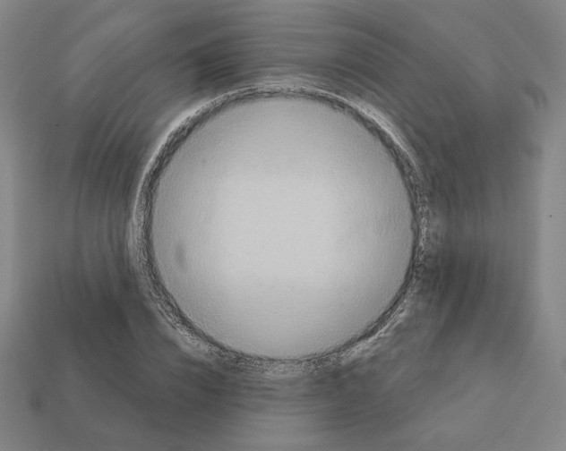 X0000111930832200909071236