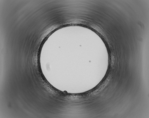 X0000111930834200909071236